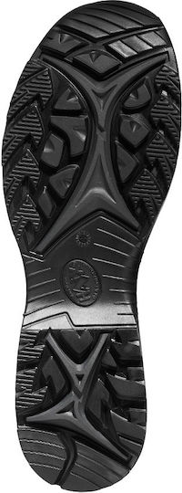 xlarge_20230622101800_3ccc7fa1
