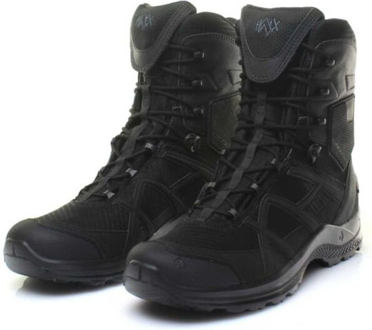 xlarge_20241206103806_5061c0e0